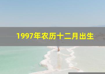 1997年农历十二月出生