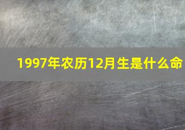 1997年农历12月生是什么命