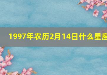 1997年农历2月14日什么星座