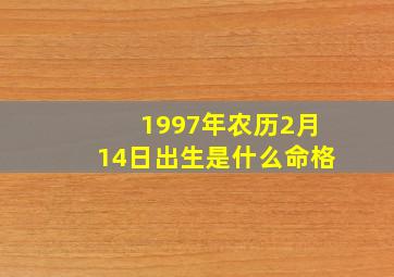 1997年农历2月14日出生是什么命格