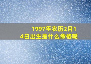 1997年农历2月14日出生是什么命格呢