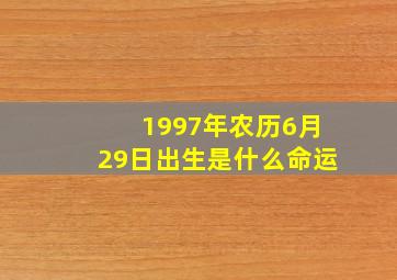 1997年农历6月29日出生是什么命运