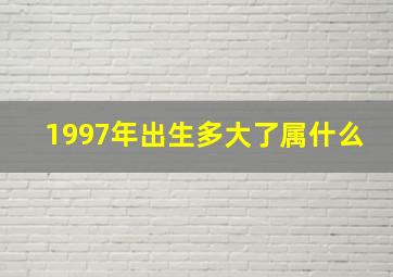 1997年出生多大了属什么