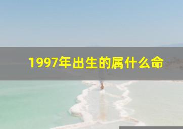 1997年出生的属什么命