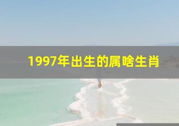 1997年出生的属啥生肖