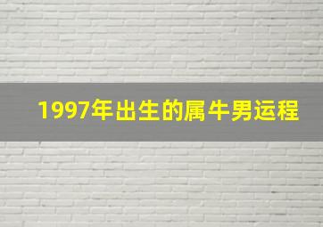 1997年出生的属牛男运程