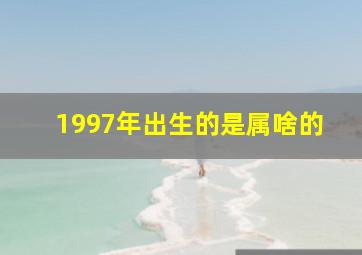 1997年出生的是属啥的