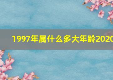 1997年属什么多大年龄2020