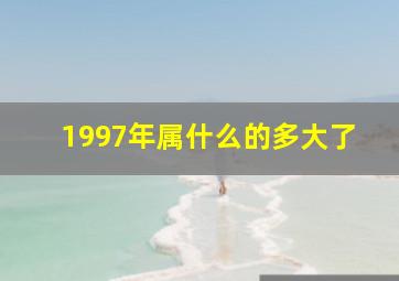 1997年属什么的多大了