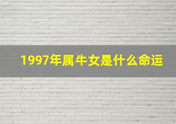 1997年属牛女是什么命运