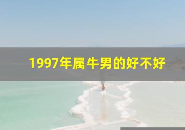 1997年属牛男的好不好