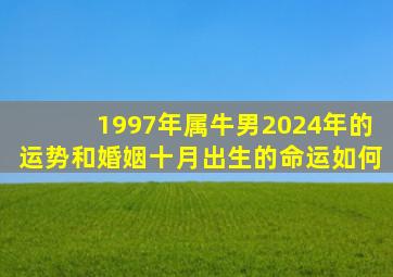 1997年属牛男2024年的运势和婚姻十月出生的命运如何