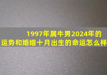 1997年属牛男2024年的运势和婚姻十月出生的命运怎么样