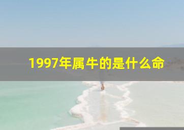 1997年属牛的是什么命