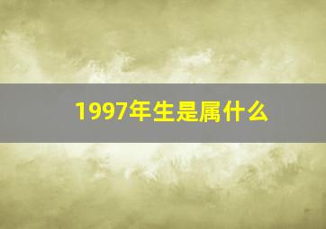 1997年生是属什么