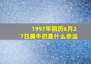 1997年阴历6月27日属牛的是什么命运