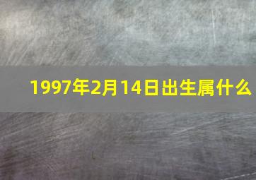 1997年2月14日出生属什么