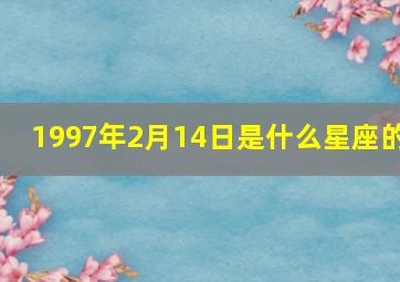 1997年2月14日是什么星座的