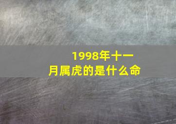 1998年十一月属虎的是什么命