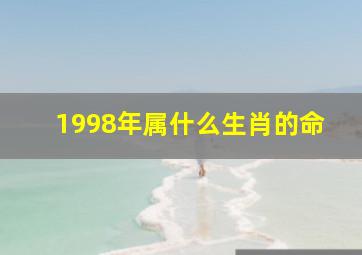 1998年属什么生肖的命