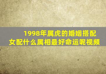 1998年属虎的婚姻搭配女配什么属相最好命运呢视频