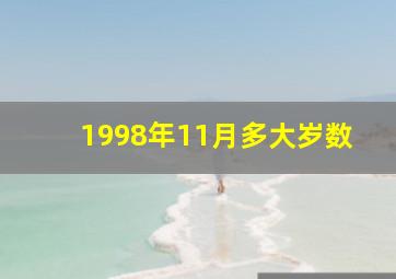 1998年11月多大岁数