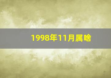 1998年11月属啥