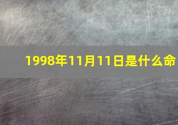 1998年11月11日是什么命