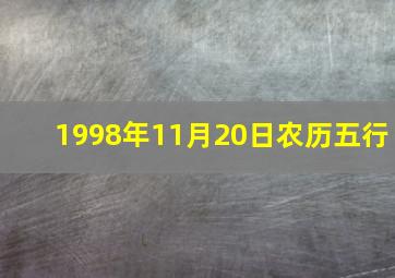 1998年11月20日农历五行