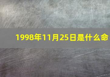 1998年11月25日是什么命