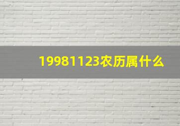 19981123农历属什么