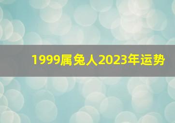 1999属兔人2023年运势