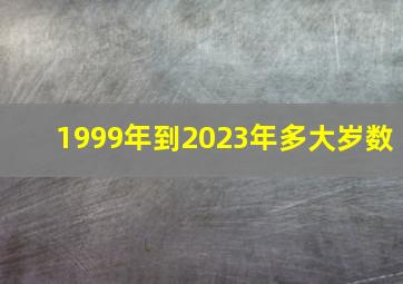 1999年到2023年多大岁数