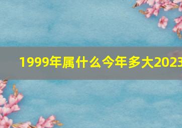 1999年属什么今年多大2023