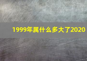 1999年属什么多大了2020