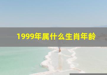 1999年属什么生肖年龄