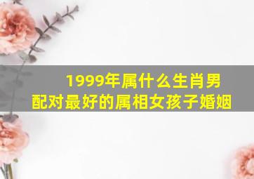 1999年属什么生肖男配对最好的属相女孩子婚姻