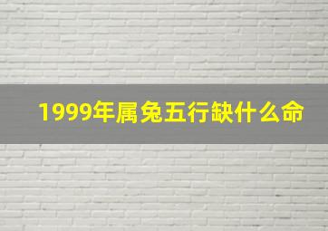 1999年属兔五行缺什么命