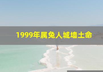 1999年属兔人城墙土命