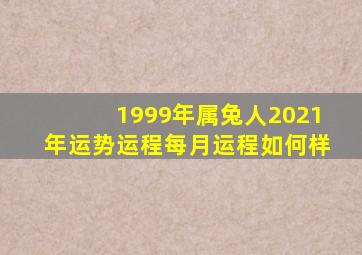 1999年属兔人2021年运势运程每月运程如何样