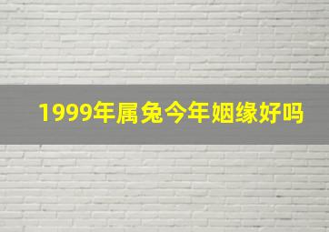 1999年属兔今年姻缘好吗