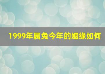 1999年属兔今年的姻缘如何