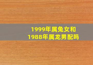 1999年属兔女和1988年属龙男配吗