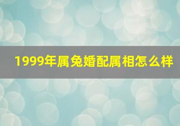 1999年属兔婚配属相怎么样