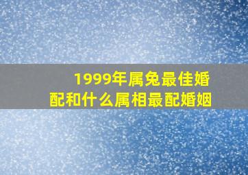 1999年属兔最佳婚配和什么属相最配婚姻