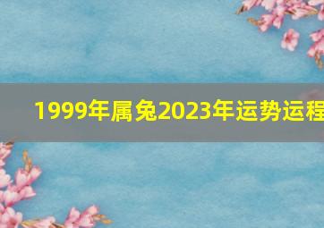 1999年属兔2023年运势运程