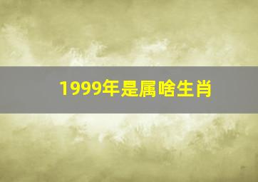 1999年是属啥生肖