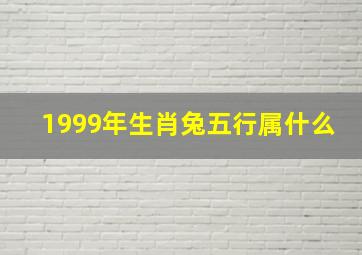 1999年生肖兔五行属什么