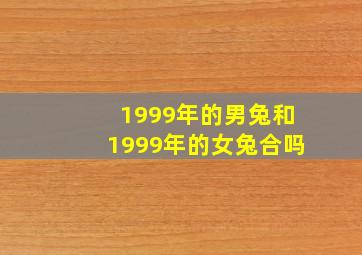 1999年的男兔和1999年的女兔合吗