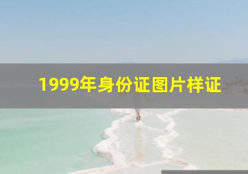 1999年身份证图片样证